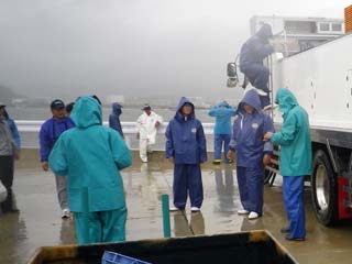 ヒラメ稚魚2万尾放流お疲れさまでした