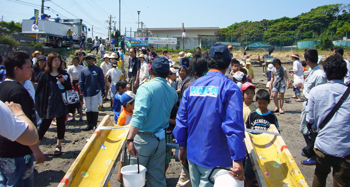 ヒラメの稚魚放流-5