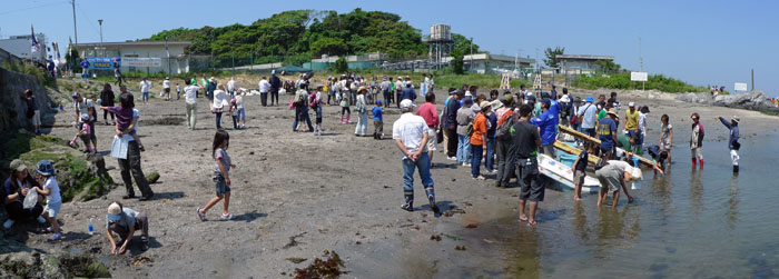 ヒラメの稚魚放流-完了